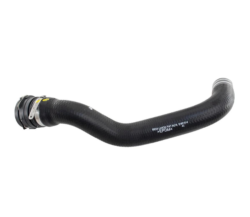 Mangueira Superior Radiador Grand Siena Mobi Novo Fiorino Novo Palio Novo Uno 51851014