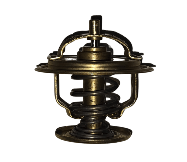 Válvula Termostatica Ford Volkswagen Motor AP WA4256.87