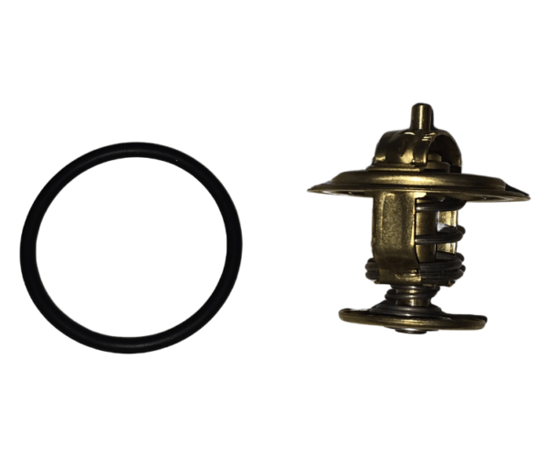 Válvula Termostatica Ford Volkswagen Motor AP WA4256.87