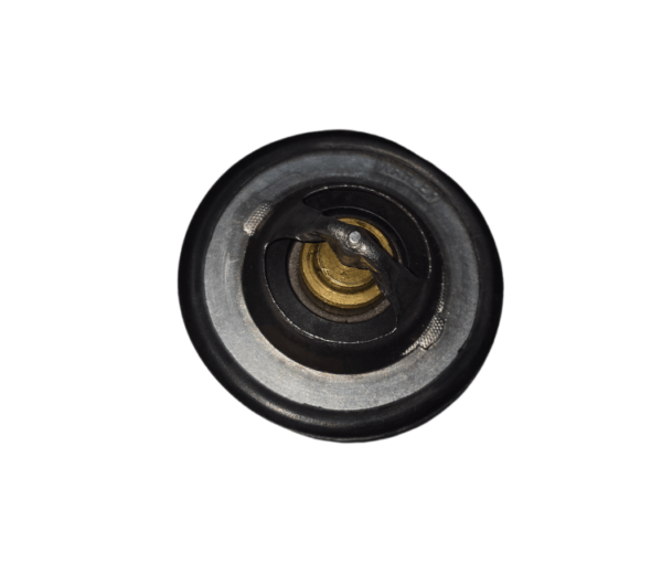 Válvula Termostática Renault Clio Duster Fluence Kangoo Logan Megane Sandero Scenic WA3180.89