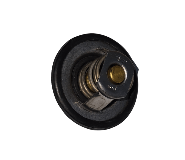 Válvula Termostática Renault Clio Duster Fluence Kangoo Logan Megane Sandero Scenic WA3180.89