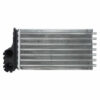 Radiador do Ar Quente Peugeot 206 Citroen C3 BC116120-4500RC