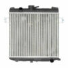 Radiador Chevrolet Chevette Chevy Ano 1980 a 1995 TA080003R